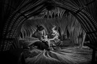 355 - PHU BA - HOP NGUYEN THANH - viet nam <div